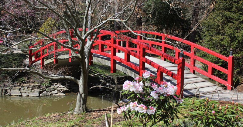 Japanese style garden bridge