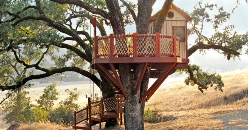 Treehouse railing ideas