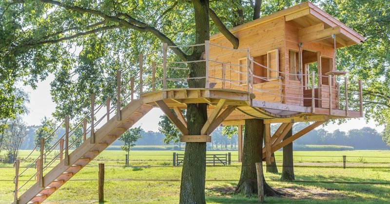 Treehouse roof ideas